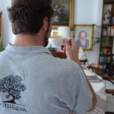 酒店 席尔瓦酒店 3*