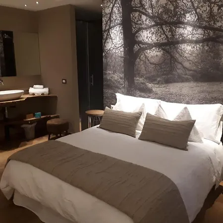 席尔瓦酒店 酒店 3*