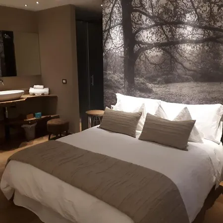 席尔瓦酒店 酒店 3*