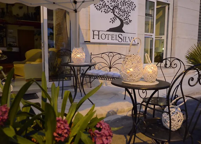 酒店 席尔瓦酒店 3*