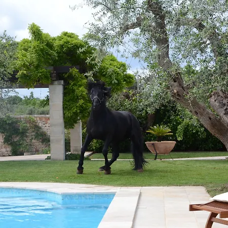 Silva 3* Альберобелло