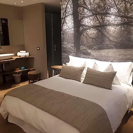 Silva Hotel 3*
